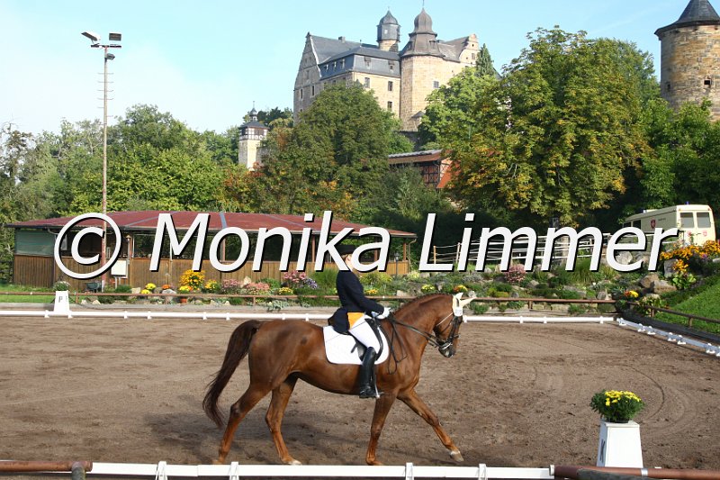 009M1420_Ronja_Dressur M.JPG